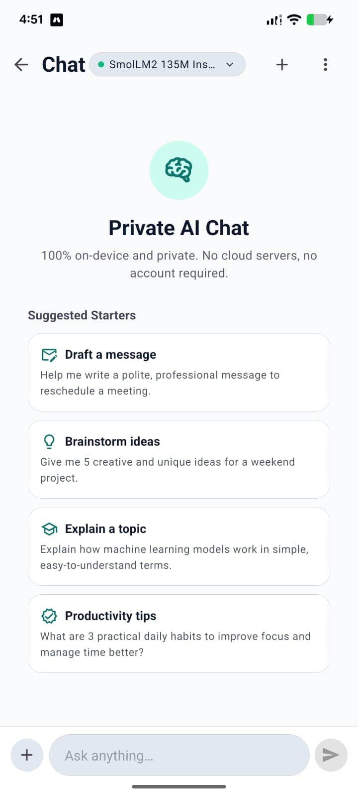PocketBrain single-model chat in light theme